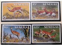 Senegal - WWF, dama gazelle