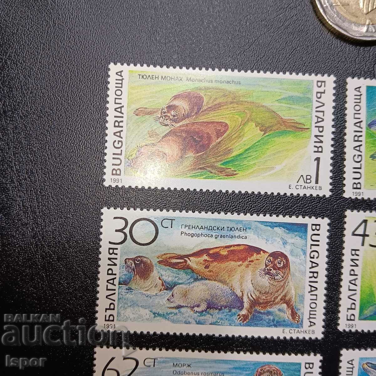 Bulgaria clean series with price 5.00 BGN | € 2.56