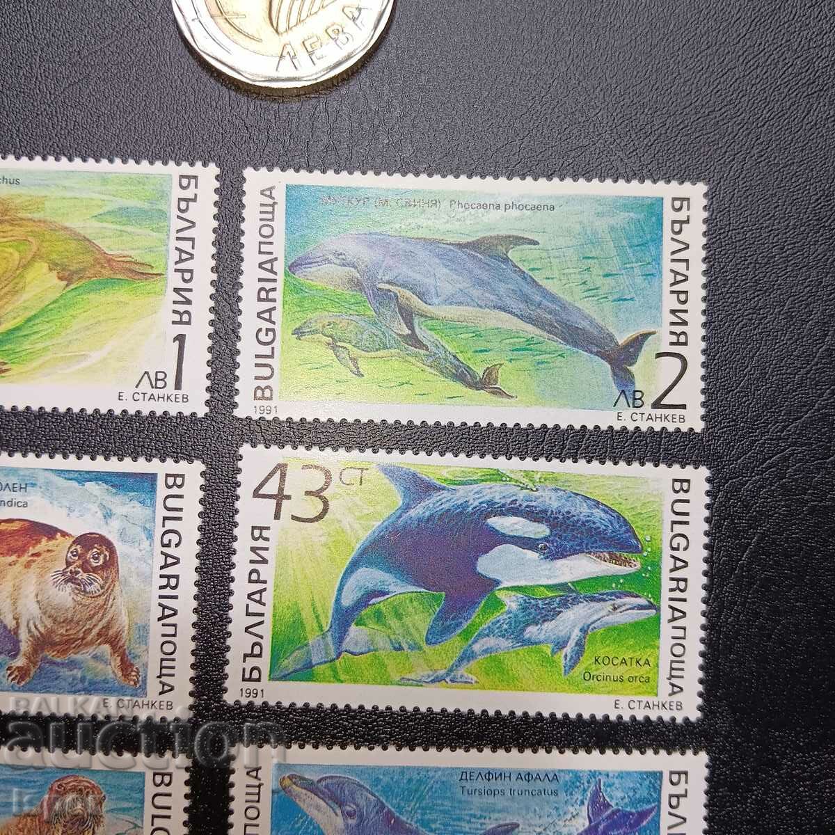 Auction  Bulgaria clean series