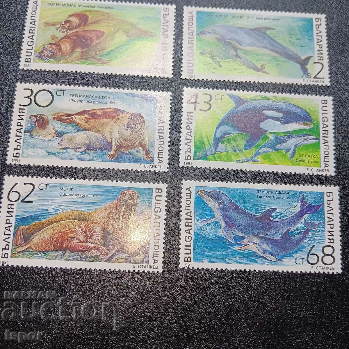 Delivery of Bulgaria clean series