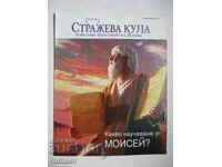 Стражева кула - 1 февруари 2013