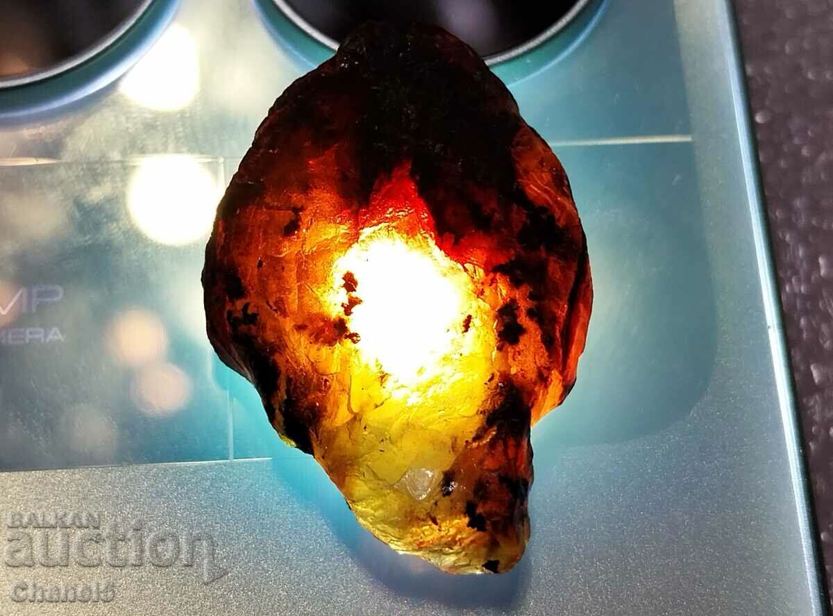 RAW NATURAL BALTIC AMBER - 9.25 carats (364) with price 18.00 BGN | € 9.20 RAW NATURAL BALTIC AMBER - 9.25 carats (364) with price 18.00 BGN | € 9.20