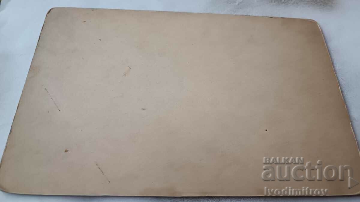 Photo The entire Carton family with price 9.65 BGN | € 4.93 Photo The entire Carton family with price 9.65 BGN | € 4.93