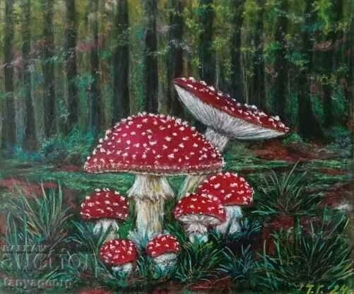 Mushrooms