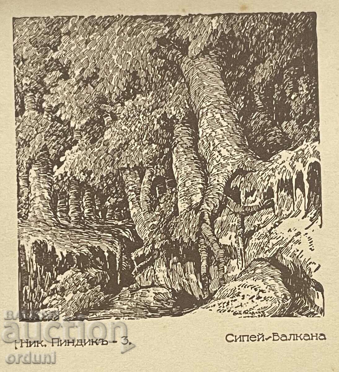 4694 Kingdom of Bulgaria postcard Nikola Pindikov Sipey Balkana with price 15.00 BGN | € 7.67 4694 Kingdom of Bulgaria postcard Nikola Pindikov Sipey Balkana with price 15.00 BGN | € 7.67