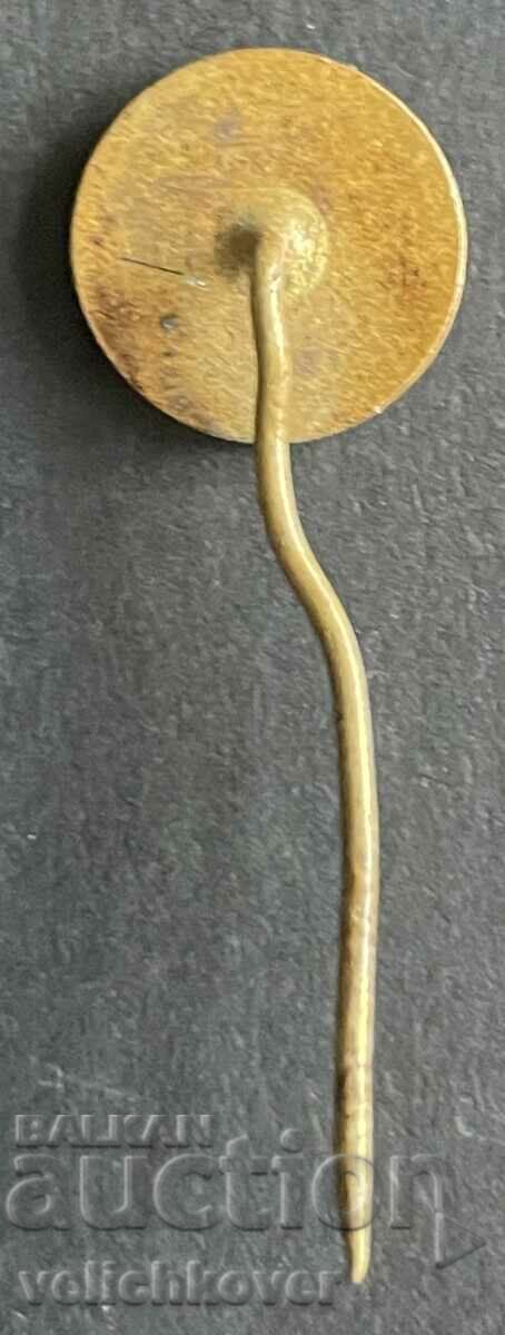 39219 Bulgaria sign colored carousel with price 3.00 BGN | € 1.53 39219 Bulgaria sign colored carousel with price 3.00 BGN | € 1.53