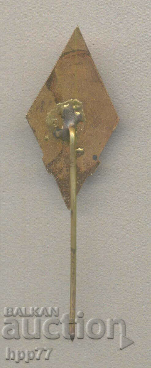 Rare Fireman's Award Badge DPO Enamel with price 19.00 BGN | € 9.71 Rare Fireman's Award Badge DPO Enamel with price 19.00 BGN | € 9.71