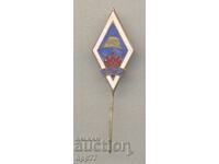 Rare Fireman's Award Badge DPO Enamel