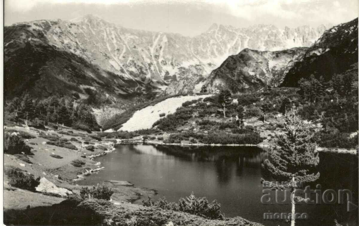 Παλιά καρτ ποστάλ - Pirin, θέα