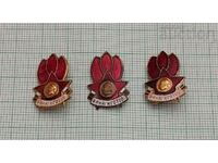 DPO "SEPTEMVRIYCHE" PIONEERS LOGO BADGE ENAMEL LOT 3 PCS