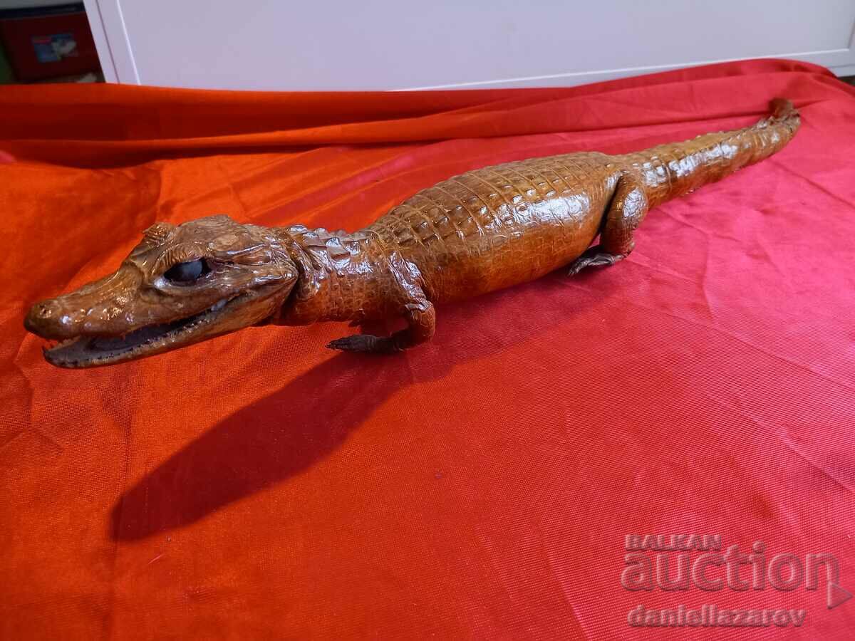 Delivery of Stuffed CROCODILE, Cayman Delivery of Stuffed CROCODILE, Cayman