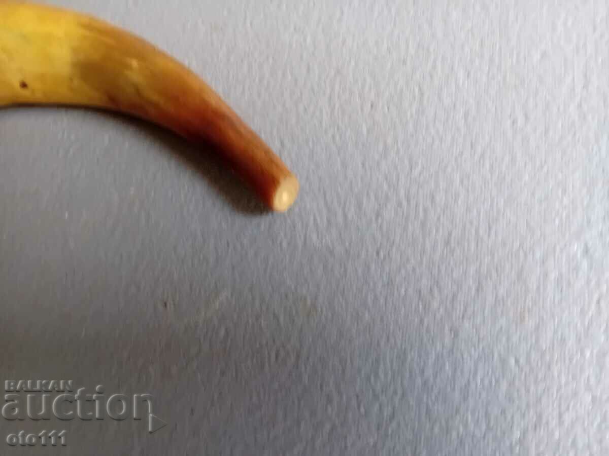 Auction POWDER HORN Auction POWDER HORN