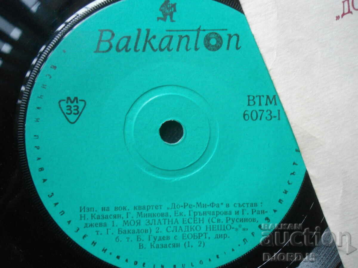 Δημοπρασία ВТМ 6073, C flat E, δίσκος γραμμοφώνου, μικρό