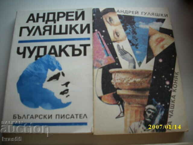Books - 2 pcs Books - 2 pcs