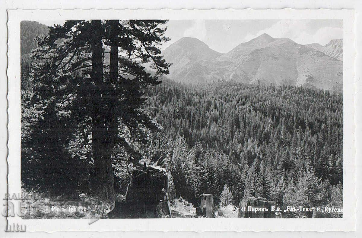 Bulgaria, Pirin, El Tepe si Kutela, necalatorite