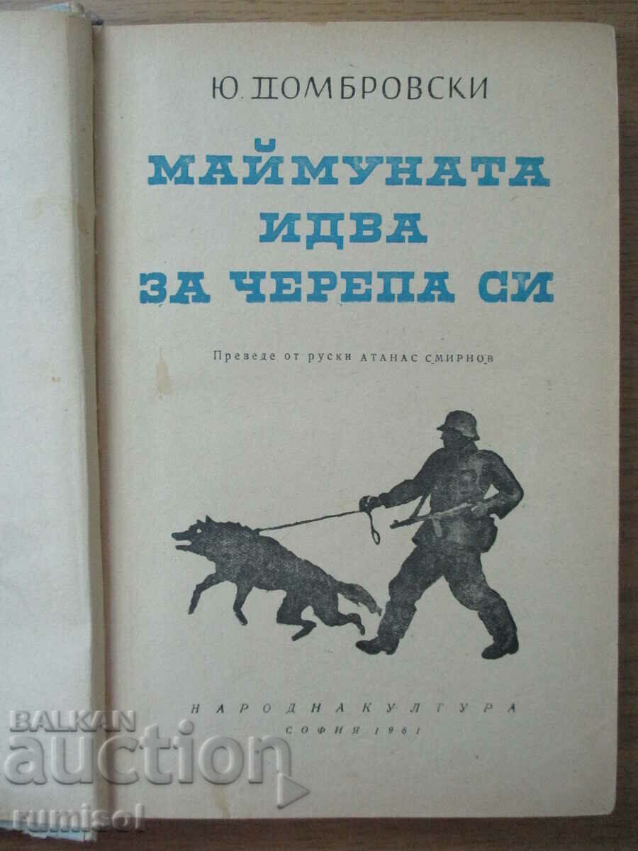 Auction  The monkey is coming for his skull - Yuri Dombrovsky