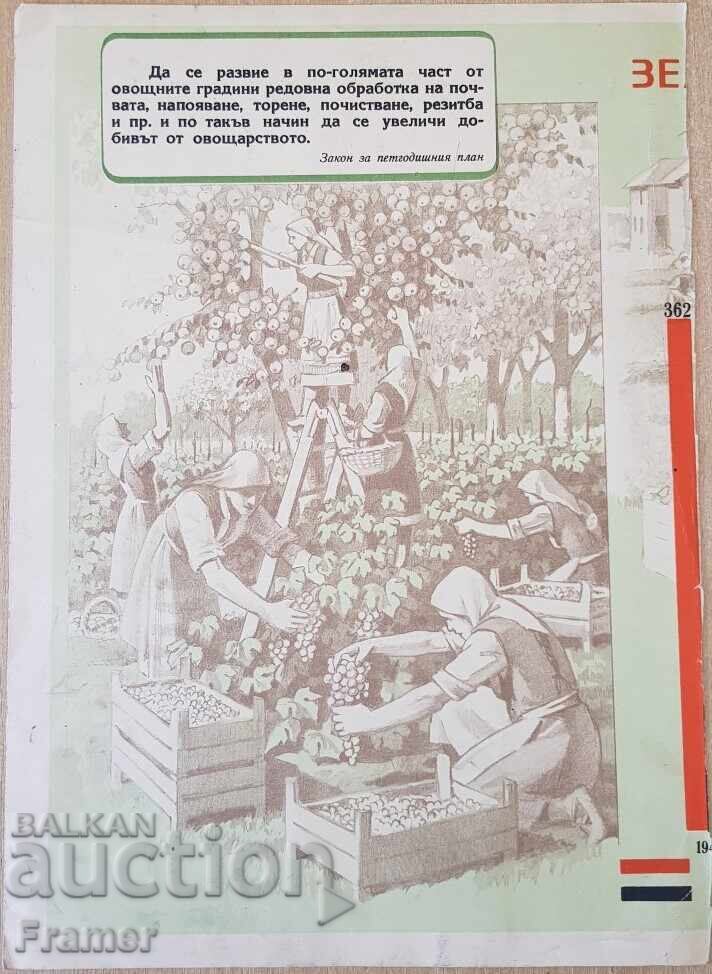 Auction Stoyan Venev (1904-1989) ...that Hall Bray Sturschel 1953 Auction Stoyan Venev (1904-1989) ...that Hall Bray Sturschel 1953