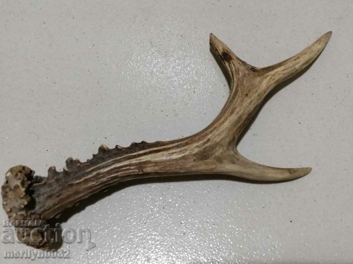 cornul de icre cu preț 29.00 BGN | € 14.83 cornul de icre cu preț 29.00 BGN | € 14.83