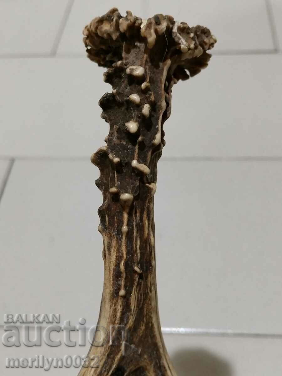 Livrarea cornul de icre Livrarea cornul de icre