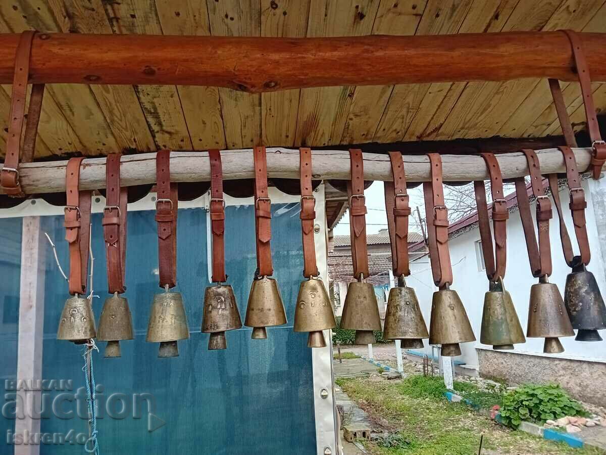 Δημοπρασία Chans - 12 τεμάχια με δερμάτινα λουριά Chan