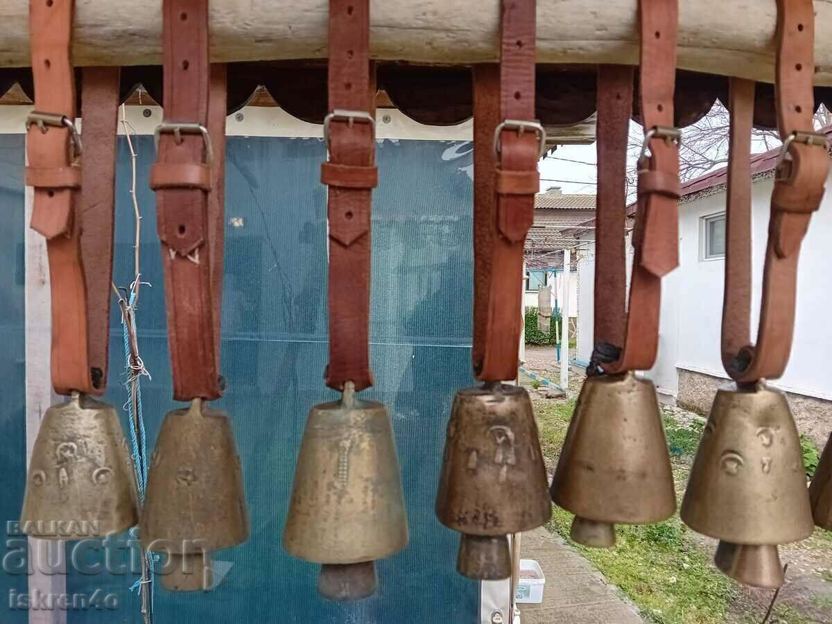 Доставка на Чанове - 12 броя с кожени каишки Чан