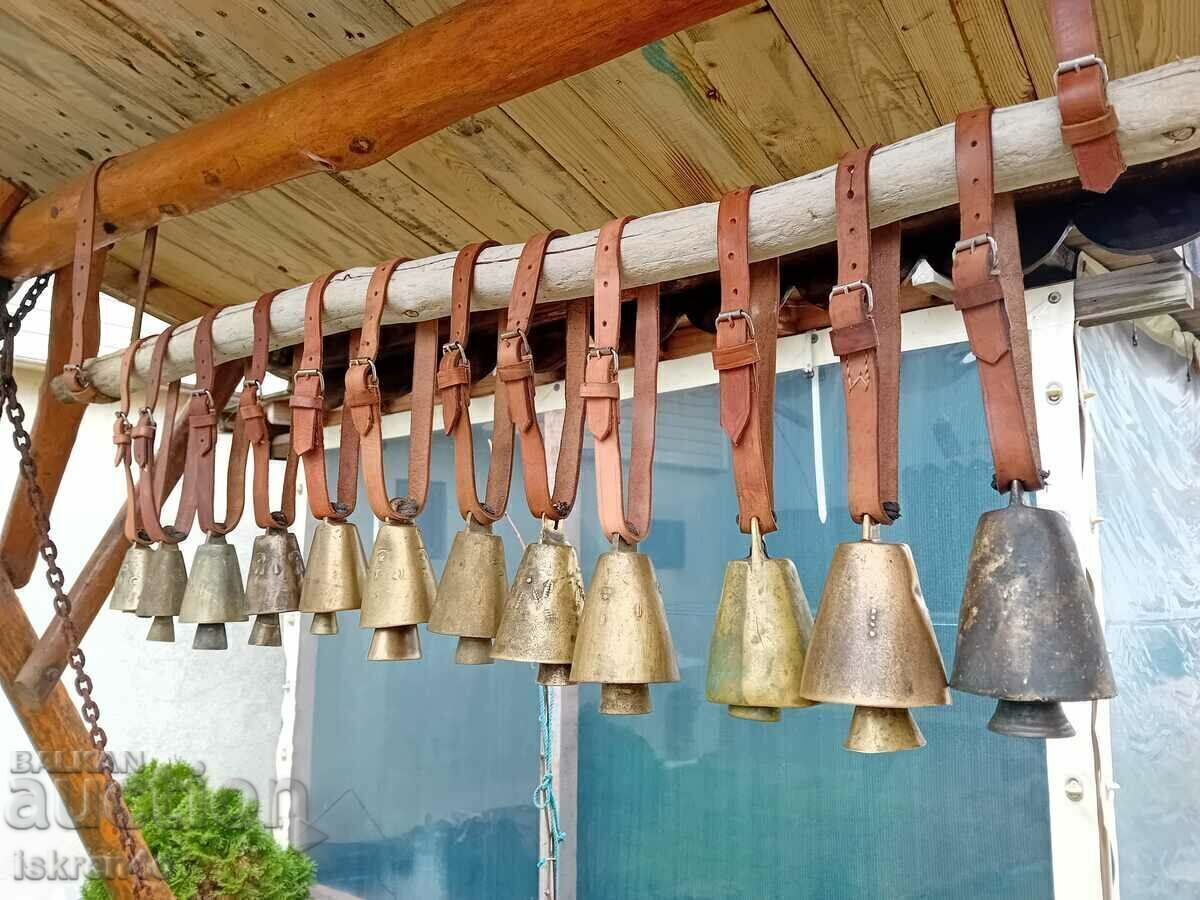 Chans - 12 piese cu curele Chan din piele - 5