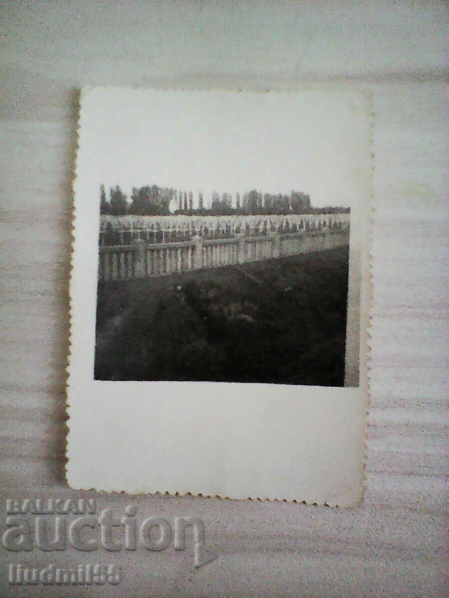 OLD PHOTO - BITOLYA FRENCH MILITARY CEMETERY