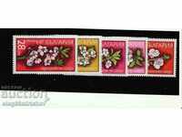 Bulgaria 1975. Flowers BK№ 2449/53 clean