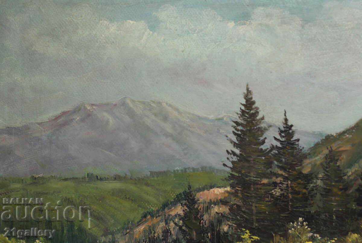 Delivery of Nikolay Iliev, oil landscape Delivery of Nikolay Iliev, oil landscape