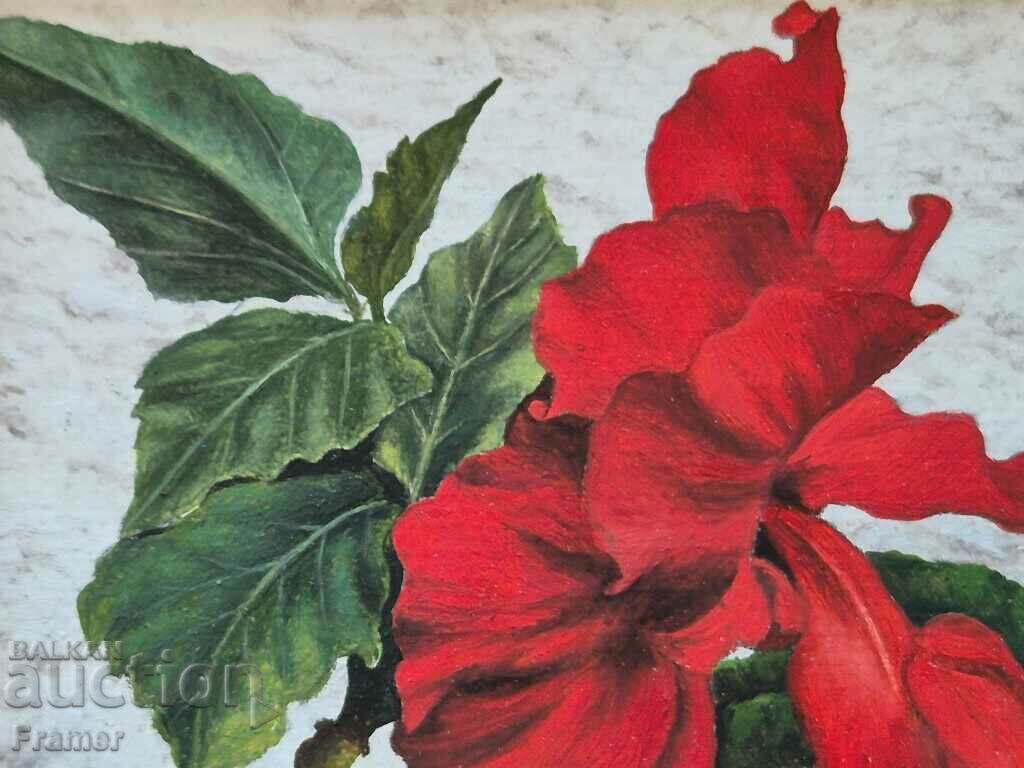 Delivery of Petar Momchilov Hibiscus 2015 Unique miniature oil paints Delivery of Petar Momchilov Hibiscus 2015 Unique miniature oil paints
