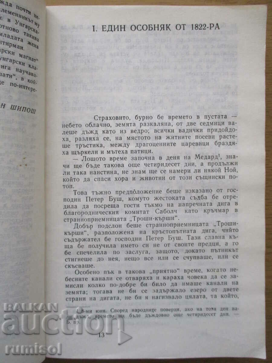 Licitație Magnat ungur - Mor Yokai Licitație Magnat ungur - Mor Yokai