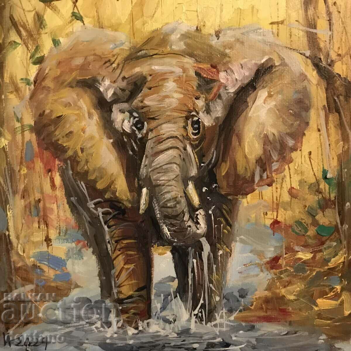 Anton Yordanov- Oil painting African savannah elephant