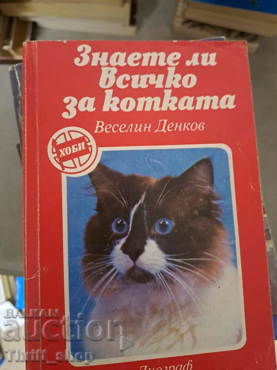 Știi totul despre pisică?