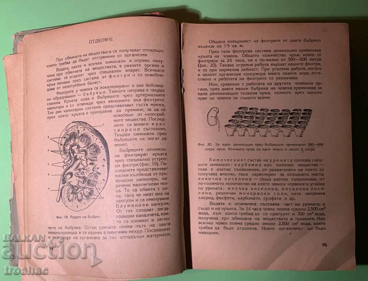 Old Book The Man / Iliya Karageorgiev with price 15.00 BGN | € 7.67 Old Book The Man / Iliya Karageorgiev with price 15.00 BGN | € 7.67