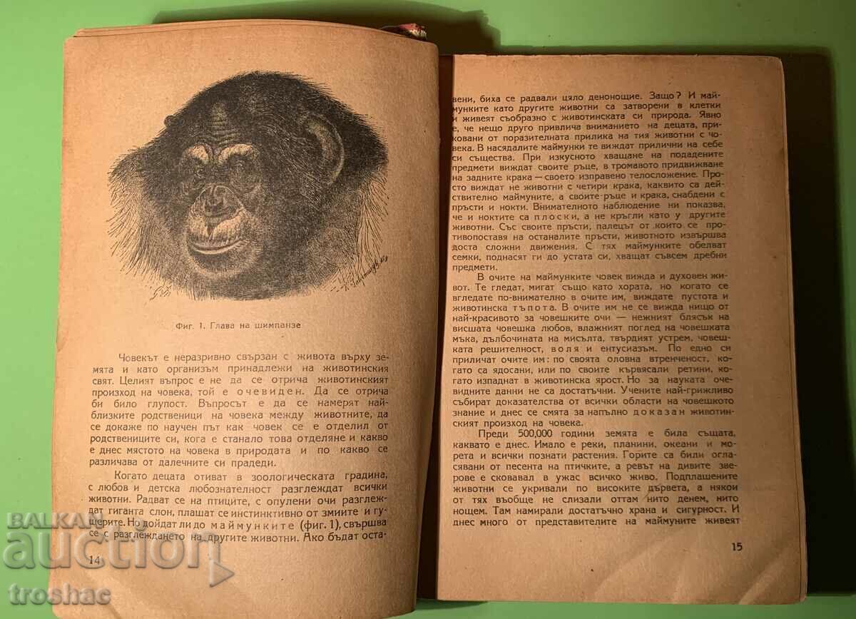 Auction Old Book The Man / Iliya Karageorgiev Auction Old Book The Man / Iliya Karageorgiev