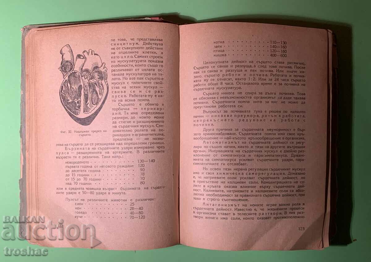 Delivery of Old Book The Man / Iliya Karageorgiev Delivery of Old Book The Man / Iliya Karageorgiev