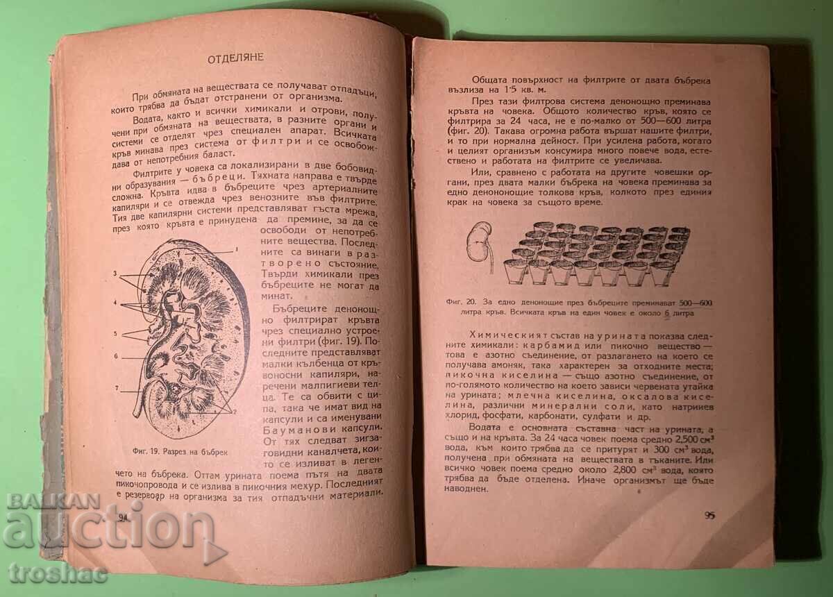 Old Book The Man / Iliya Karageorgiev - 7 Old Book The Man / Iliya Karageorgiev - 7