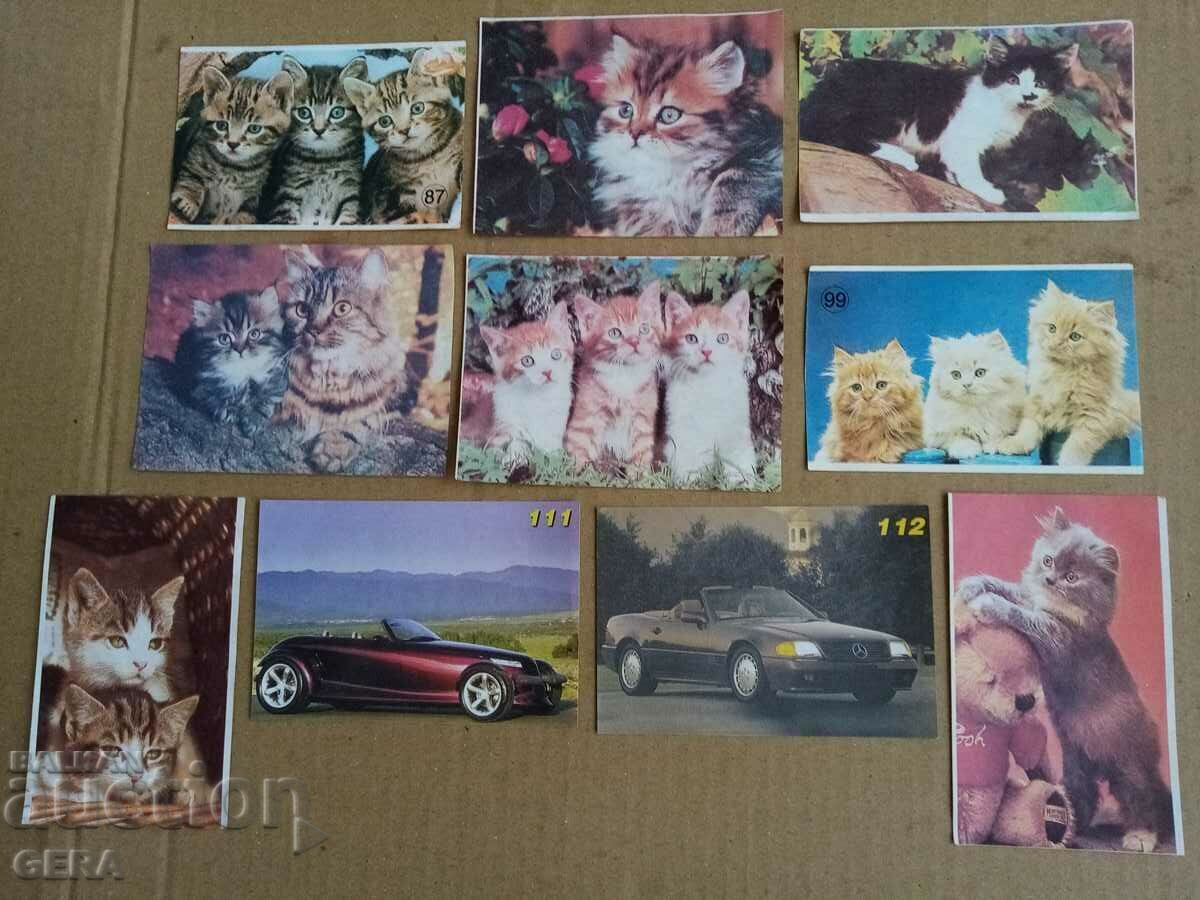 fragrant leaves fragrant leaves