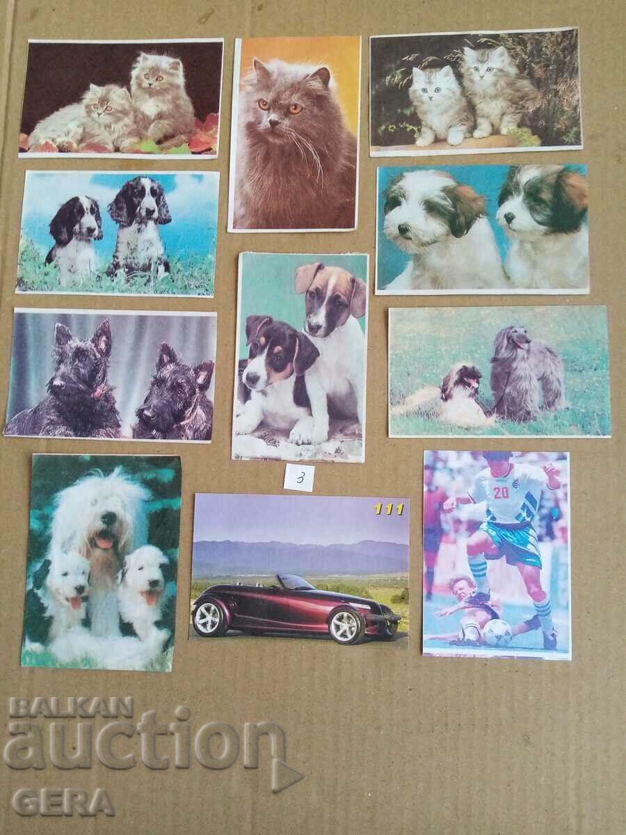 fragrant leaves fragrant leaves