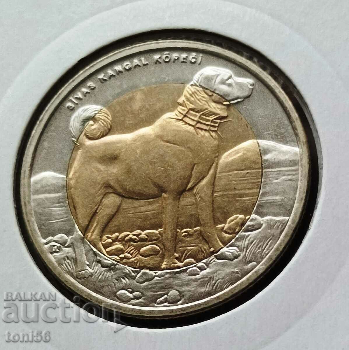 Turkey 1 Lira 2010 UNC - Dog with price 29.00 BGN | € 14.83 Turkey 1 Lira 2010 UNC - Dog with price 29.00 BGN | € 14.83