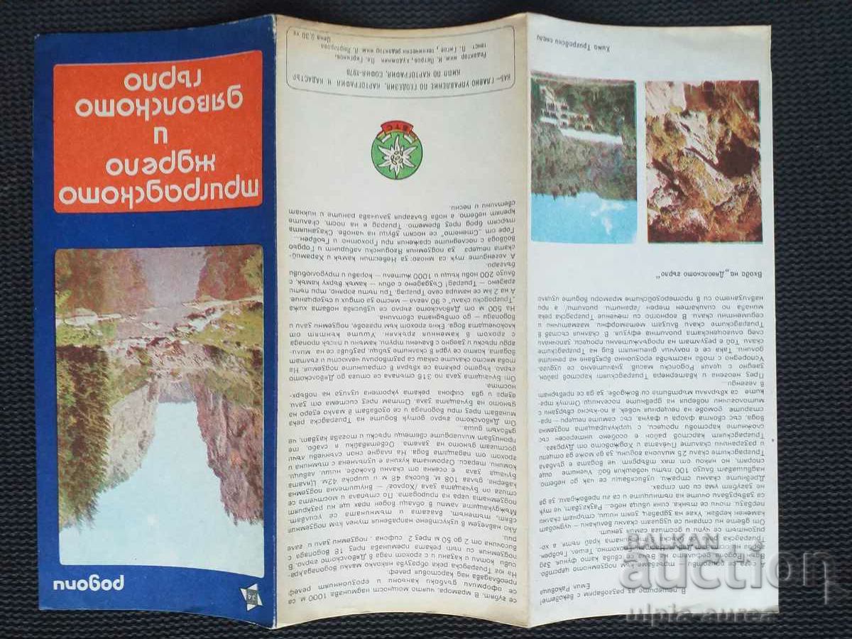 Auction Social brochure Auction Social brochure