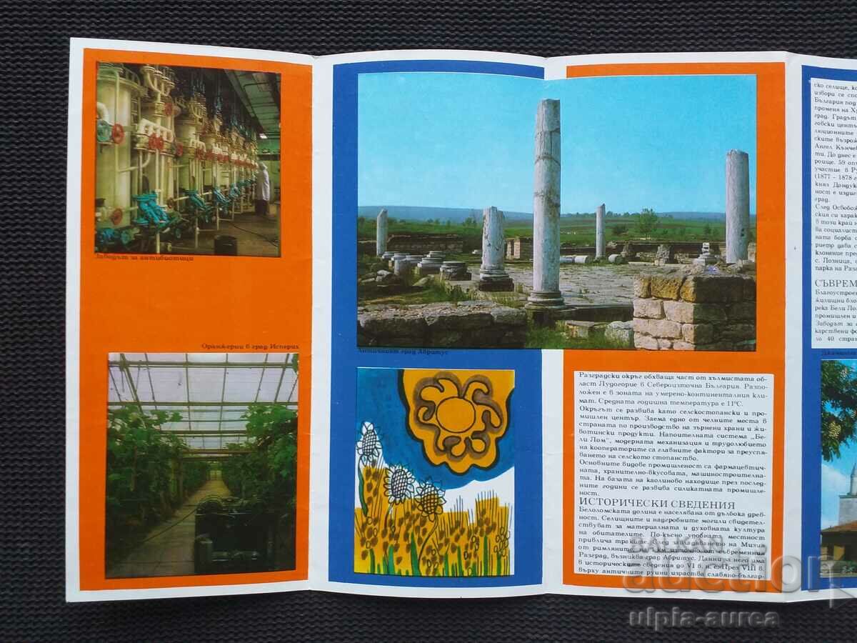 Auction  Social brochure