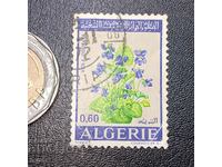 Algeria