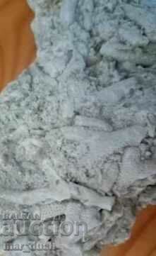 Fossil bryozoans with price 40.00 BGN | € 20.45 Fossil bryozoans with price 40.00 BGN | € 20.45