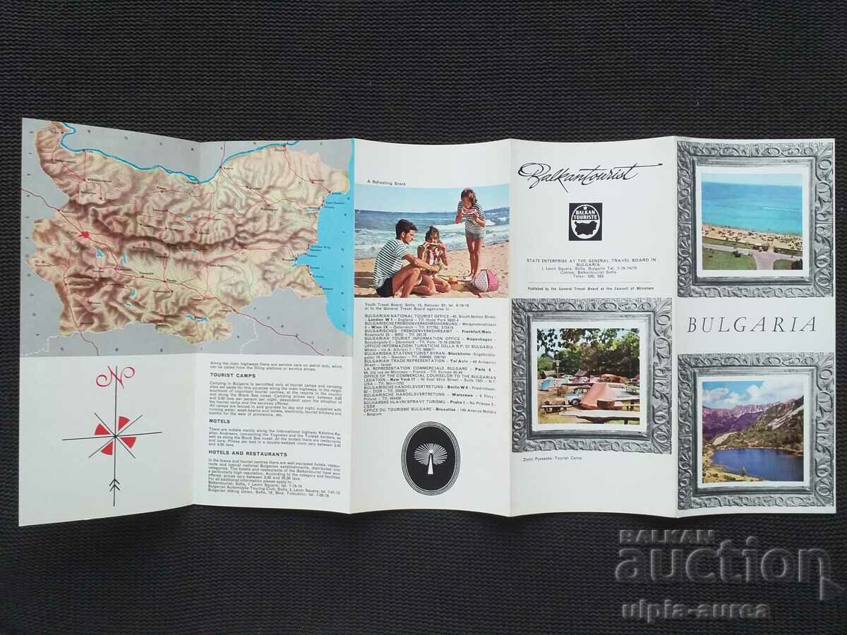 Auction  Social brochure