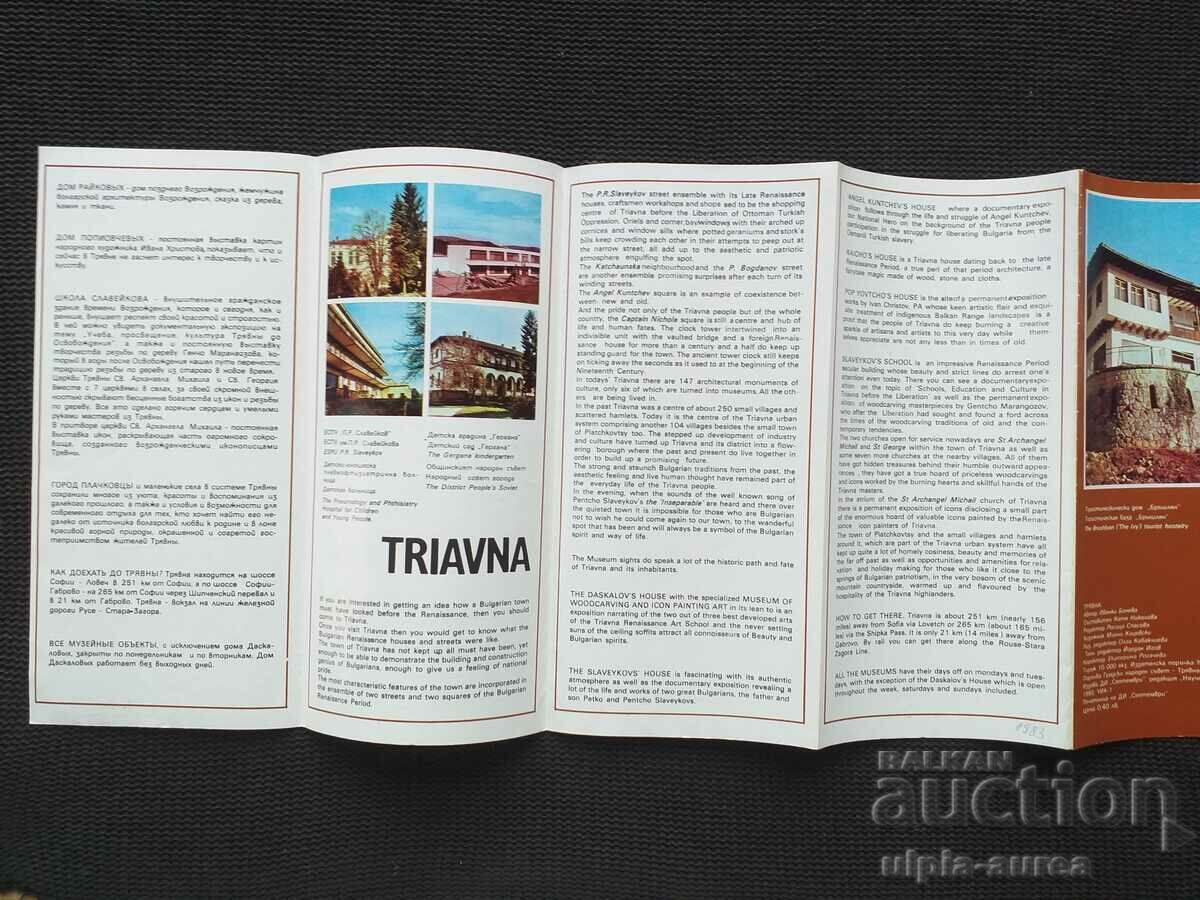 Auction Social brochure Auction Social brochure