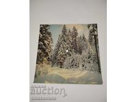 Postcard plate VEB 10147 "Smyana-67" - edition of the Central Committee of the DKMS