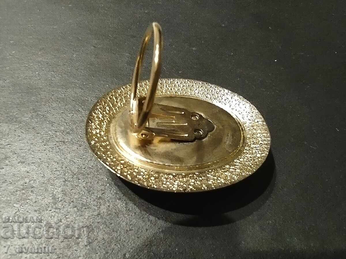 Delivery of Brooch, scarf clip, very impressive, 13.12.24