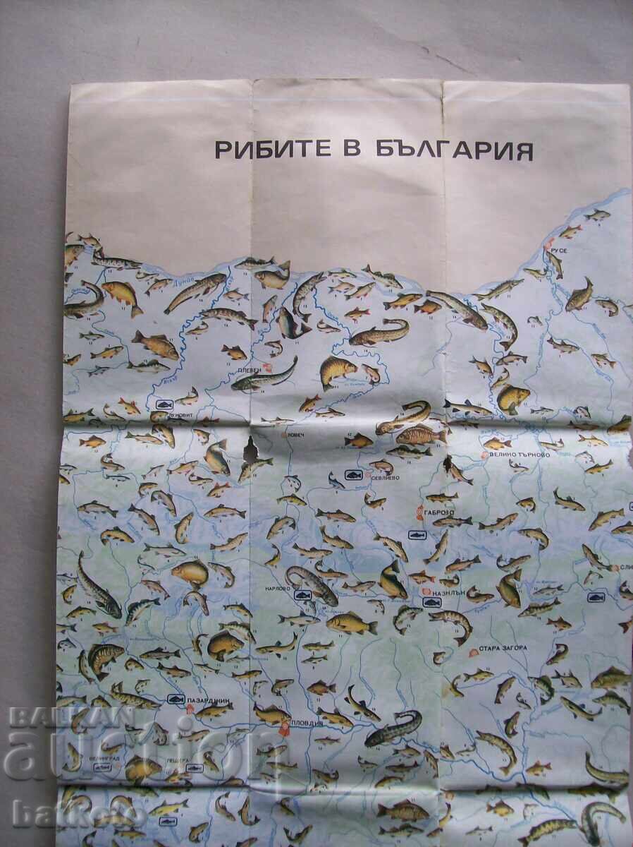 Old map Fish in Bulgaria with price 4.50 BGN | € 2.30 Old map Fish in Bulgaria with price 4.50 BGN | € 2.30