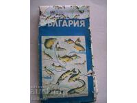 Old map Fish in Bulgaria